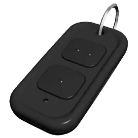 538-nor Norton - 538 Nor Double Channel Hand Held Transmitter