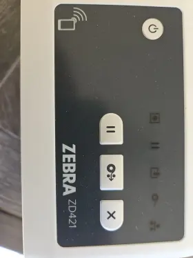 Zd421 Zebra #2